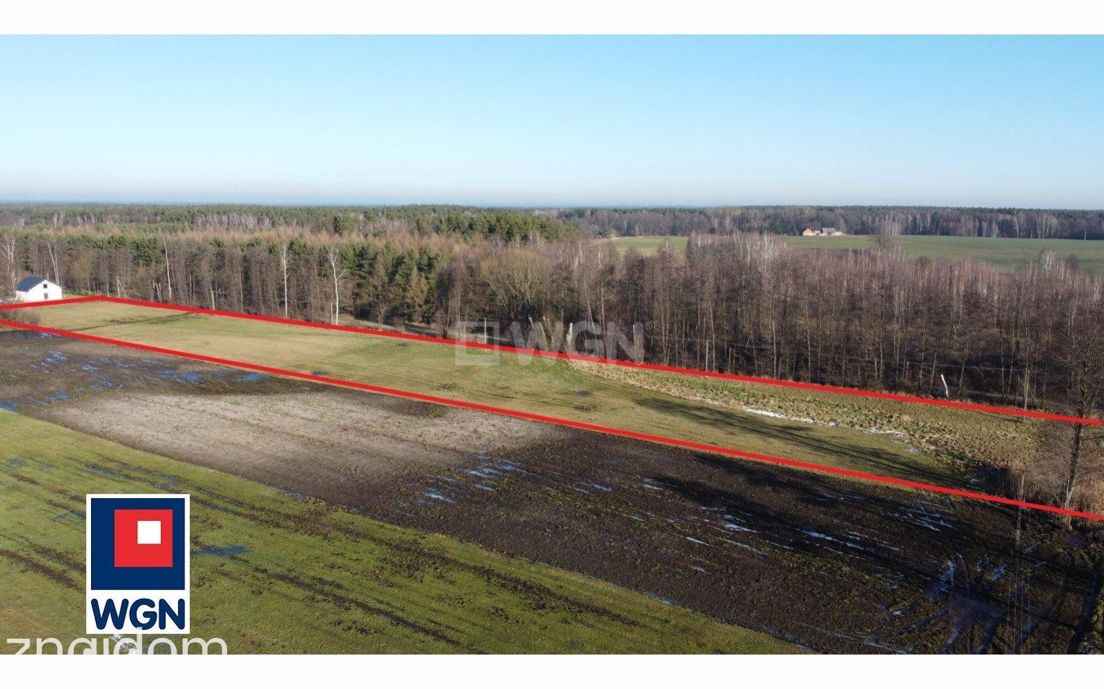 Grunt budowlany jednorodzinny na sprzedaż Kobyla Góra - Działki pod lasem w ok. Kobyla Góry - zdjęcie 4