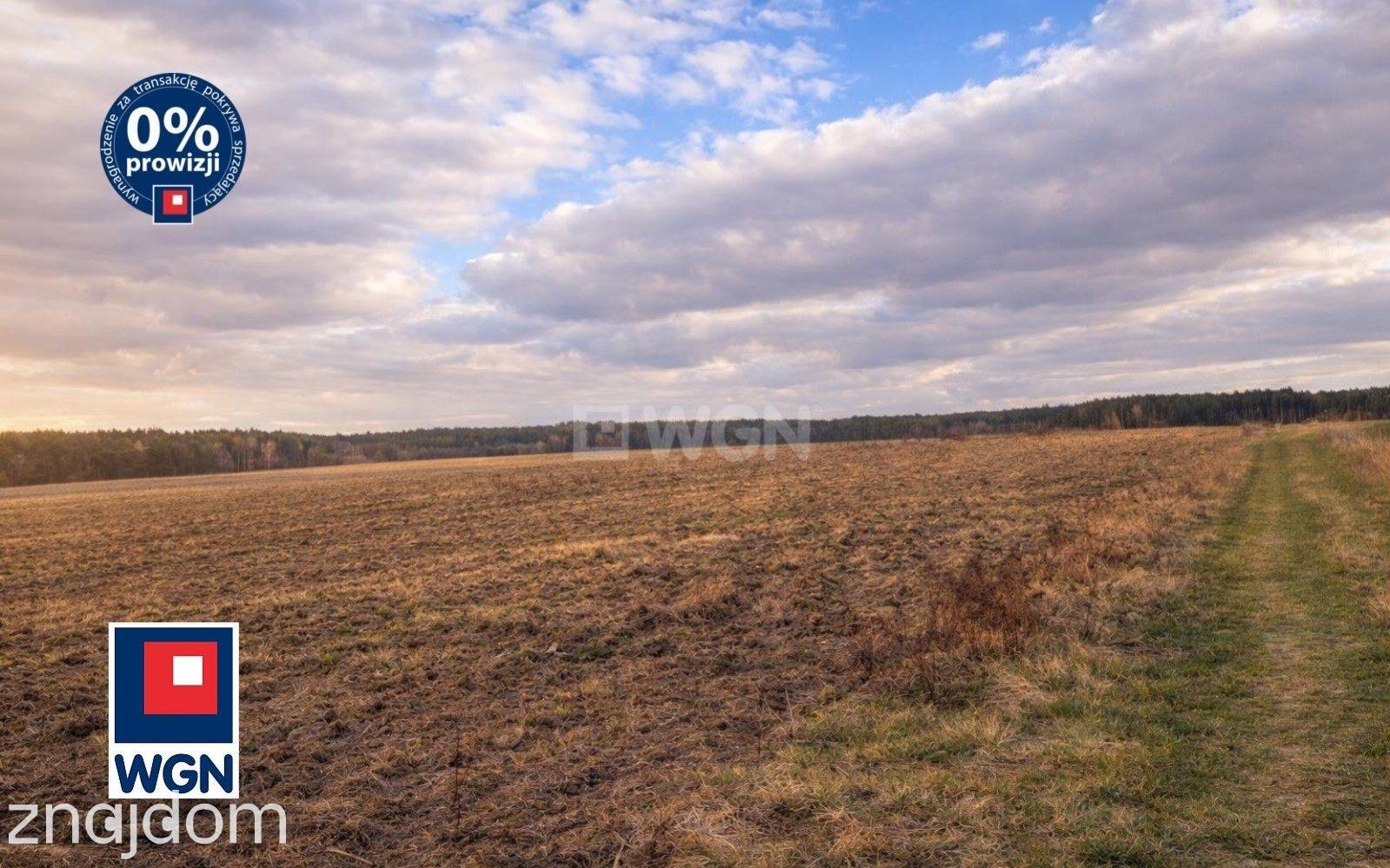 Grunt budowlany jednorodzinny na sprzedaż Rudgerzowice - Działki budowlane z WZ Rudgerzowice,gmina Świebodzin,woj.lubuskie