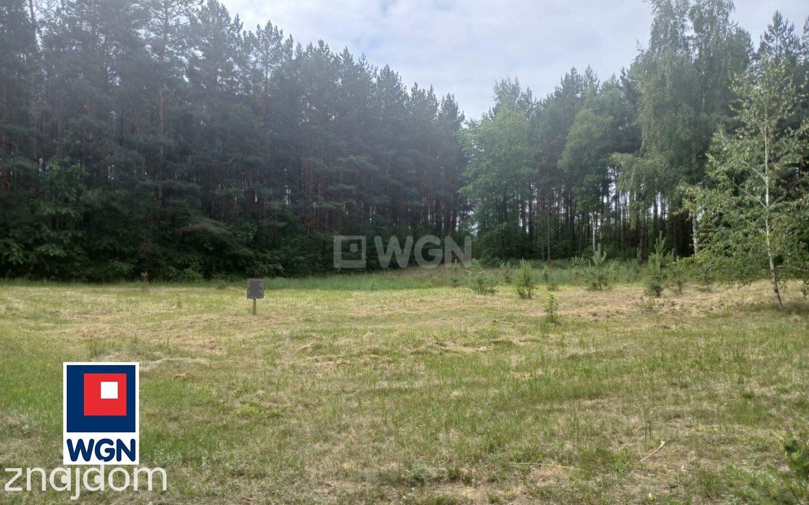 Grunt budowlany jednorodzinny na  sprzedaż Maciejewo - Działka budowlana w lesie- atrakcyjna cena. - zdjęcie 9