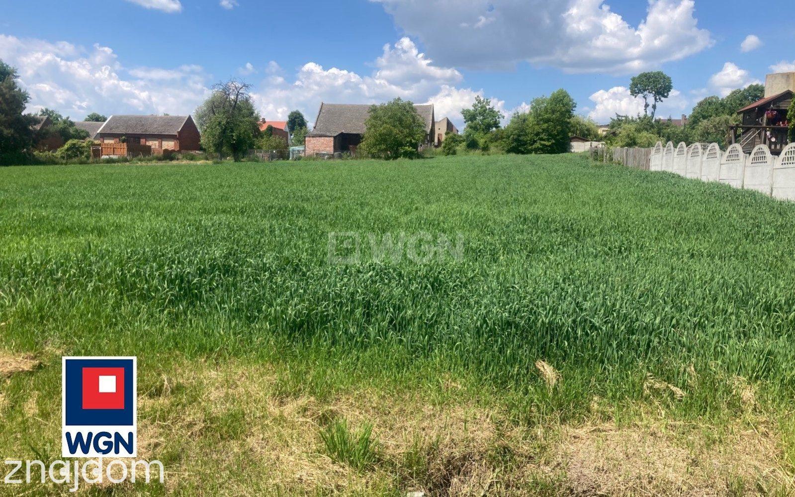 Grunt budowlany jednorodzinny na sprzedaż Wysocko Wielkie - Działka w Wysocku z WZ - zdjęcie 5