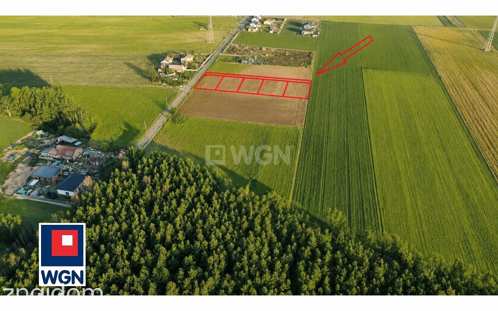 Grunt budowlany jednorodzinny na sprzedaż Sadowie - Działka z warunkami zabudowy pod dom jednorodzinny - zdjęcie 5