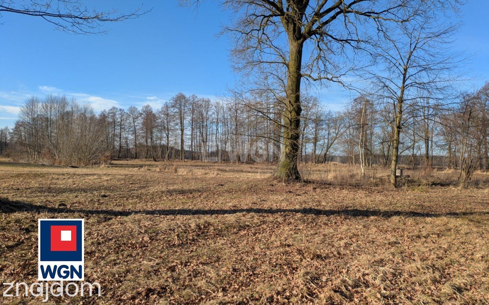 Grunt budowlany jednorodzinny na  sprzedaż Kotowskie - Cisza, przyroda, woda. - zdjęcie 3