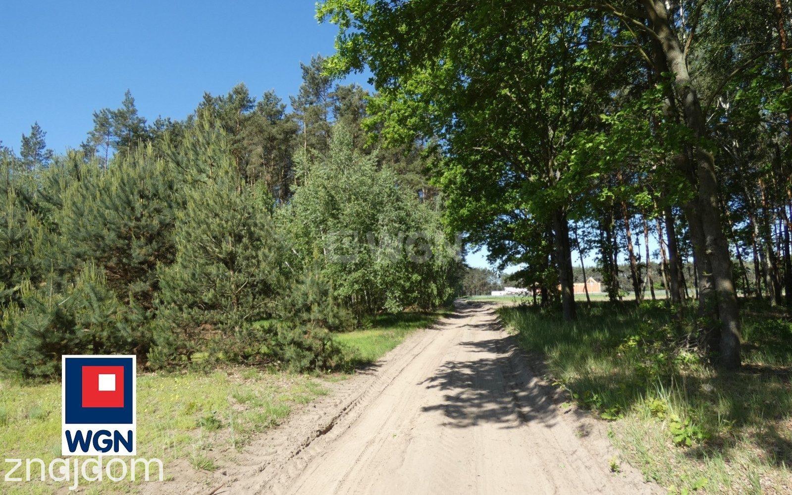 Grunt budowlany jednorodzinny na  sprzedaż Godziesze Wielkie - Działka przy lesie - zdjęcie 9
