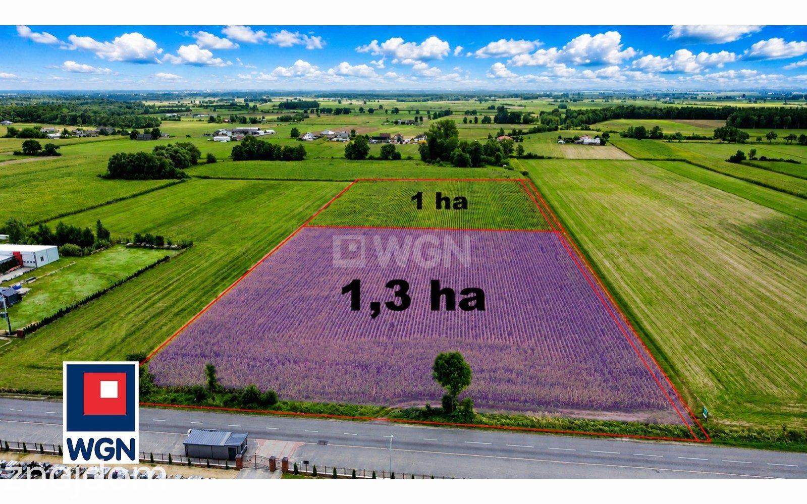 Grunt aktywizacja gospodarcza na  sprzedaż Sieroszewice - Grunt przy drodze powiatowej*dla inwestora* - zdjęcie 6