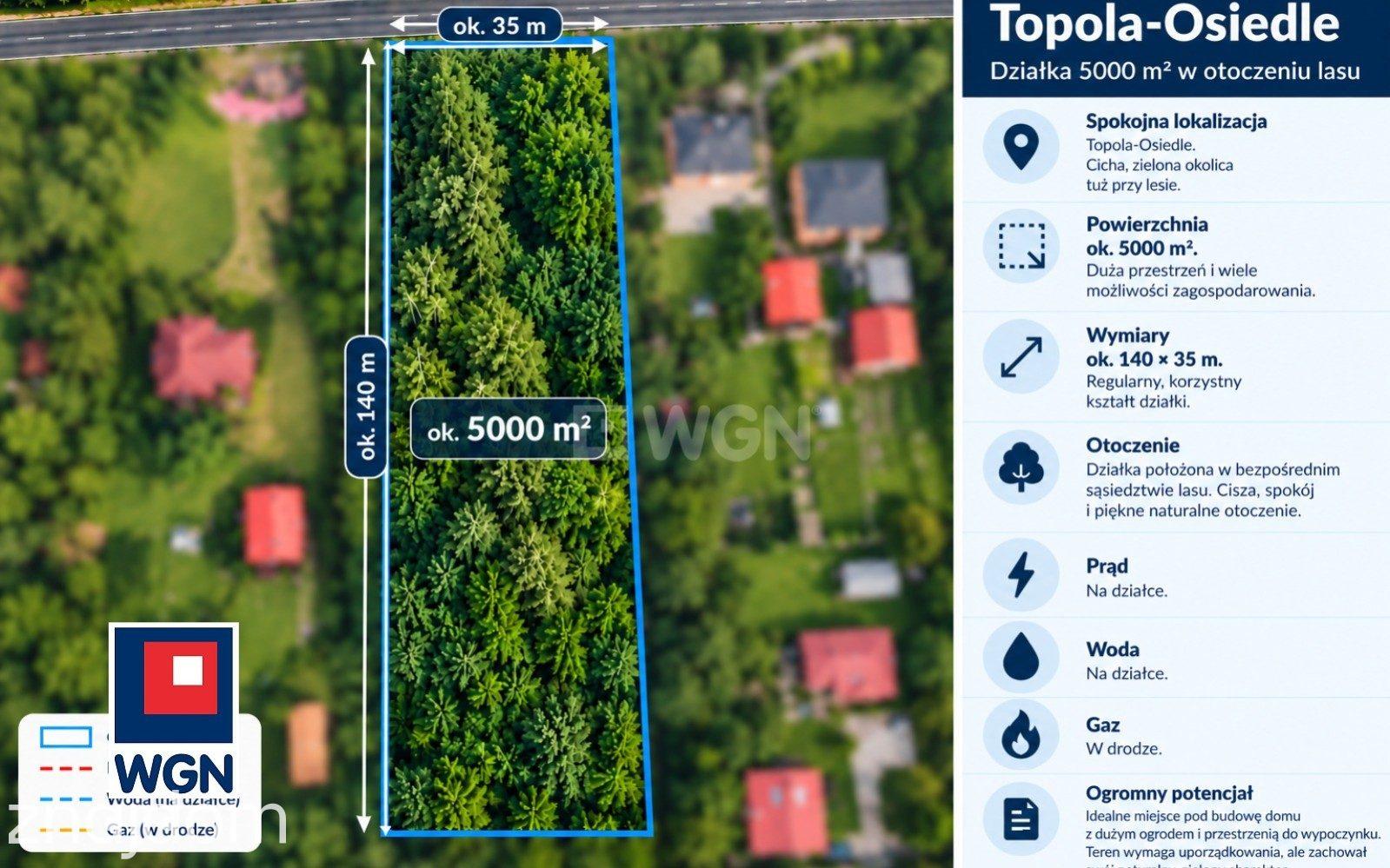 Grunt budowlany jednorodzinny na sprzedaż Przygodzice - Twój kawałek lasu - działka 5000 m2 pod dom - zdjęcie 5