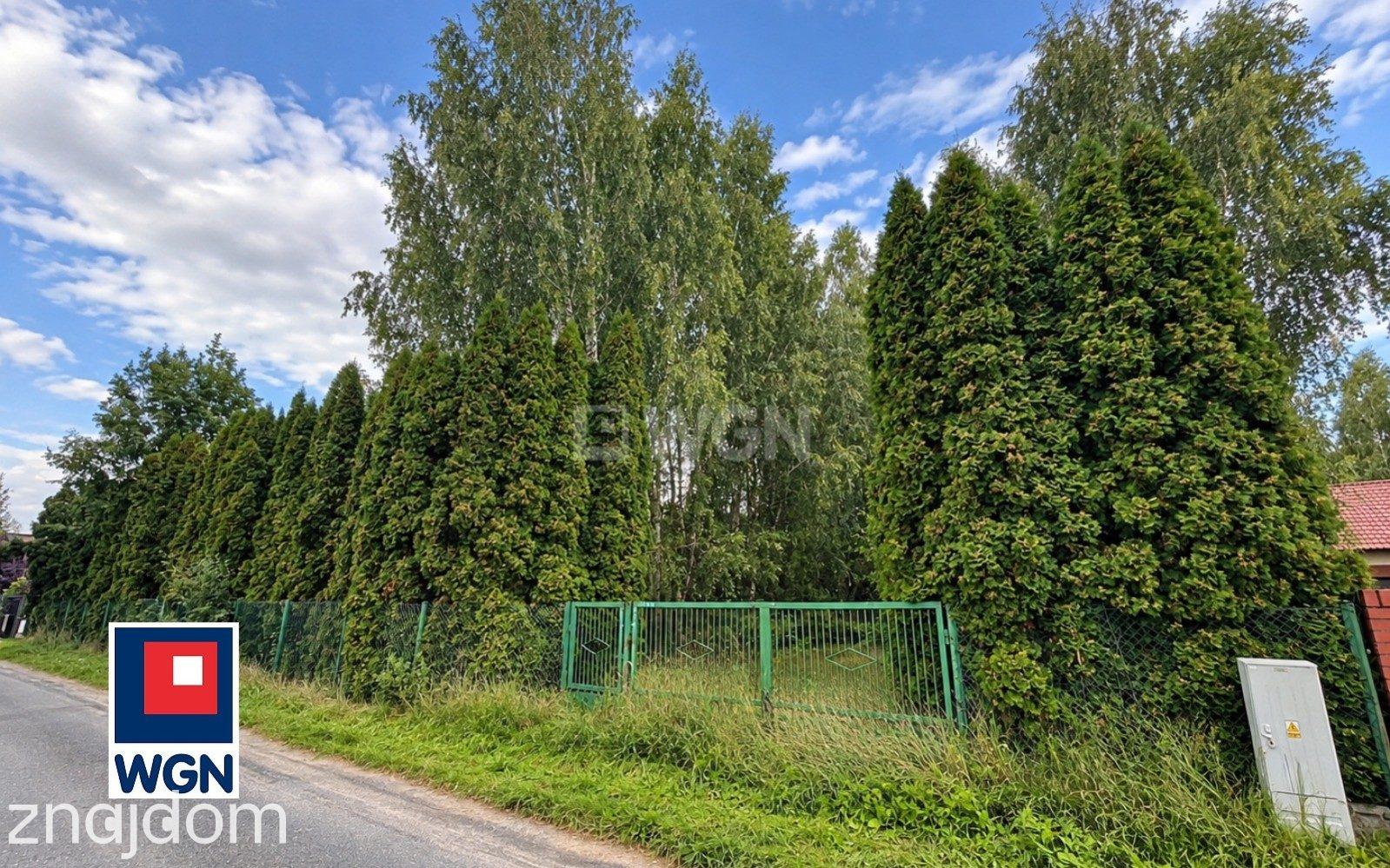 Grunt budowlany jednorodzinny na sprzedaż Przygodzice - Twój kawałek lasu - działka 5000 m2 pod dom - zdjęcie 3