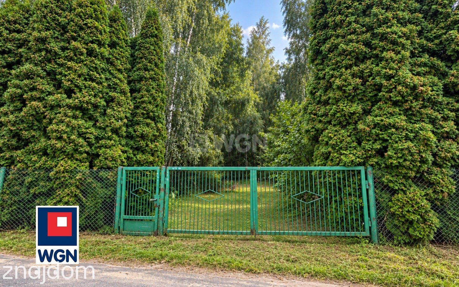 Grunt budowlany jednorodzinny na sprzedaż Przygodzice - Twój kawałek lasu - działka 5000 m2 pod dom - zdjęcie 2