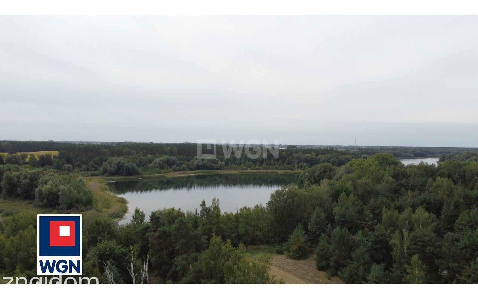 Dom na  sprzedaż Wilczyn - Dom letniskowy z Winnicą