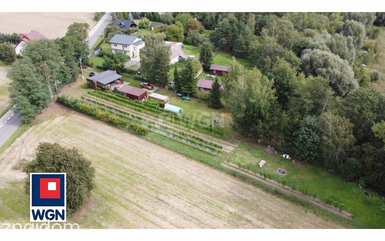 Dom na sprzedaż Wilczyn - Dom letniskowy z Winnicą - zdjęcie 8
