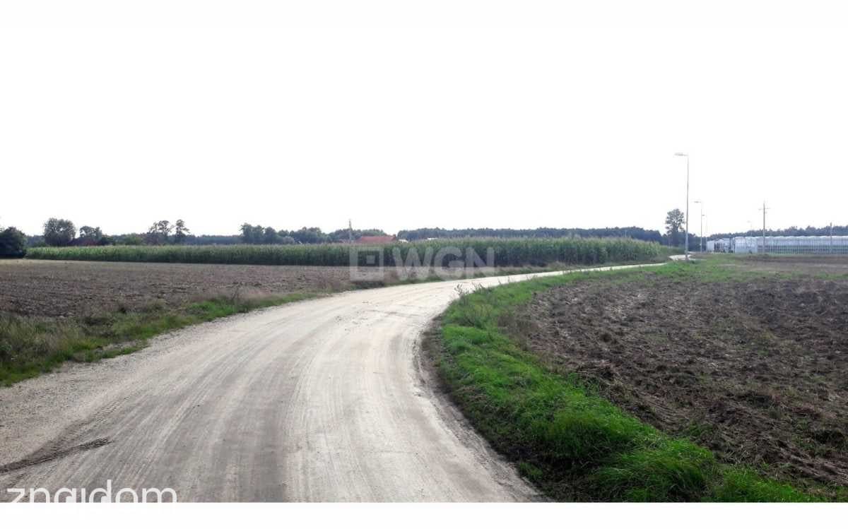 Działka na sprzedaż LUDWINA