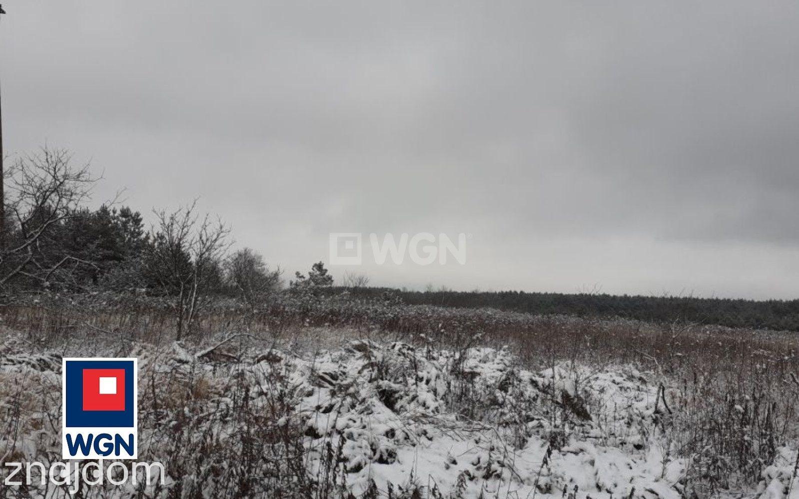 Działka na sprzedaż Dziewki - zdjęcie 5