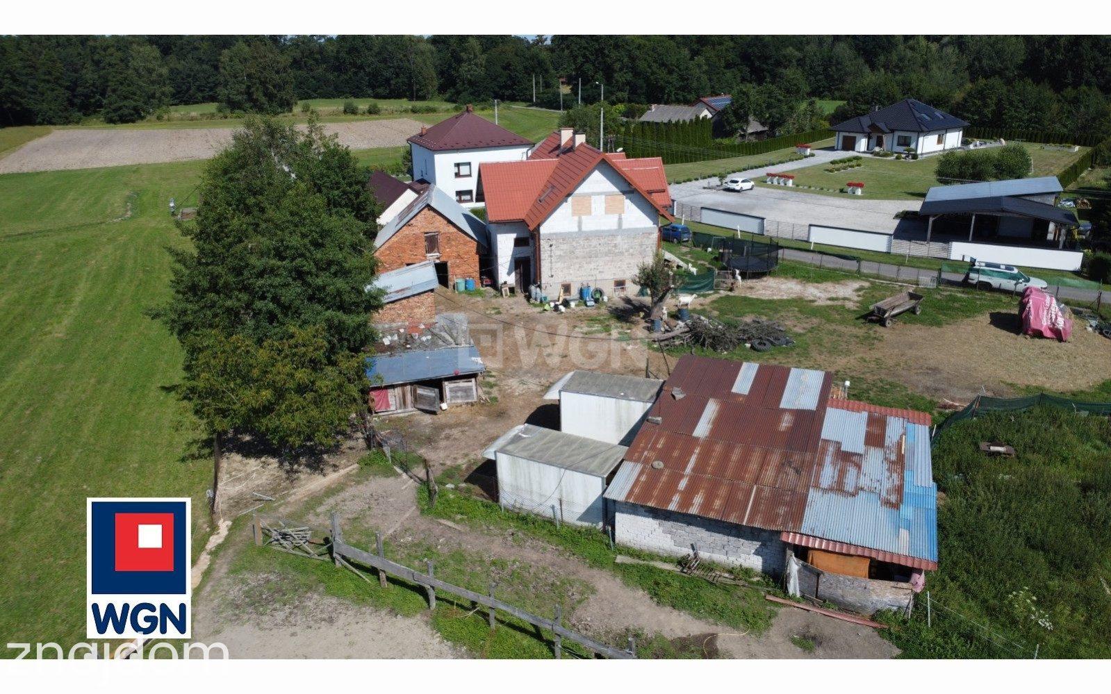 Dom na sprzedaż Dołęga - Dom 170 m2 + zabudowania gospodarcze, działka 23 a - zdjęcie 6