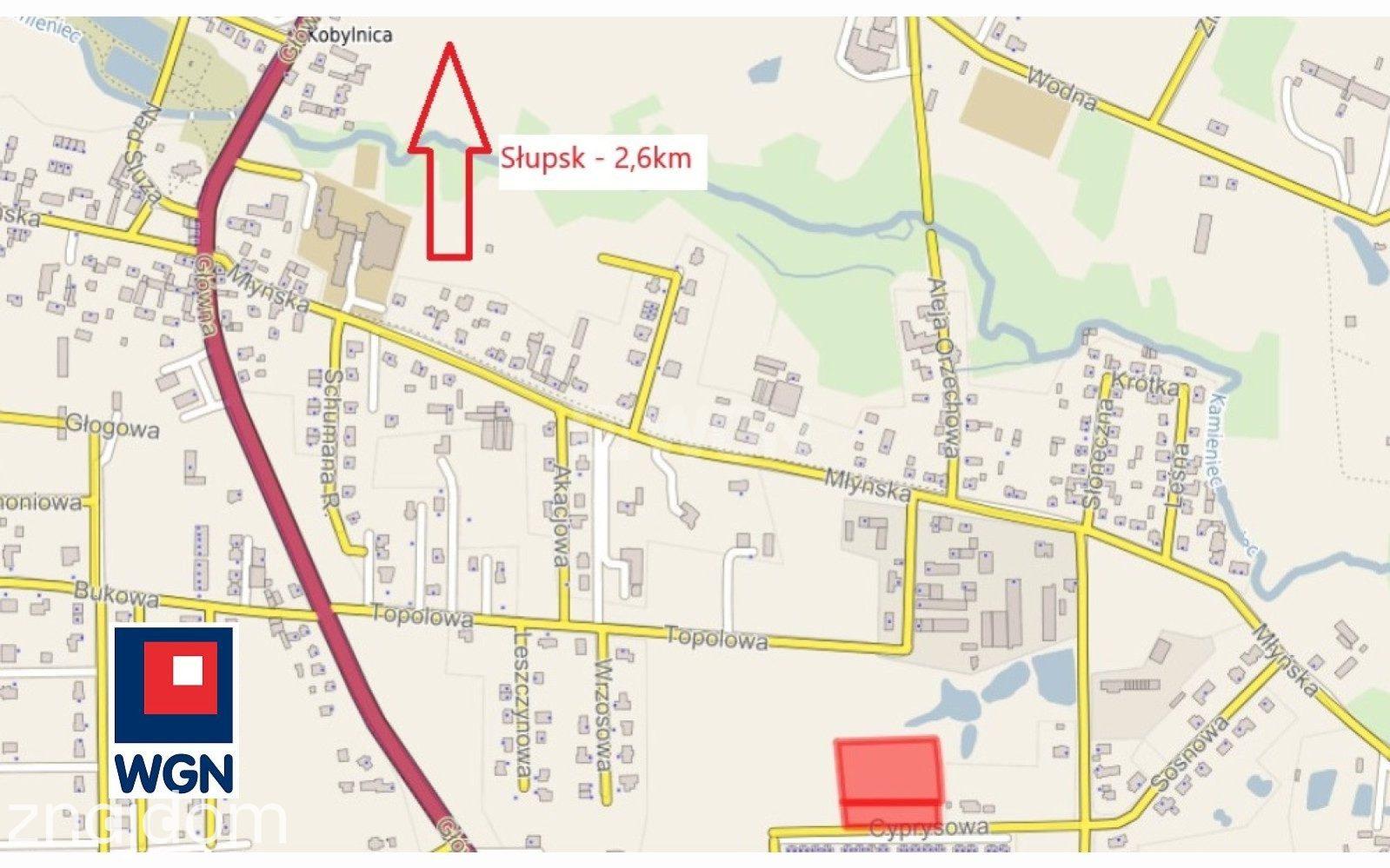 Grunt budowlany jednorodzinny na  sprzedaż Kobylnica - Działka budowlana, 8900m2, Kobylnica - zdjęcie 3