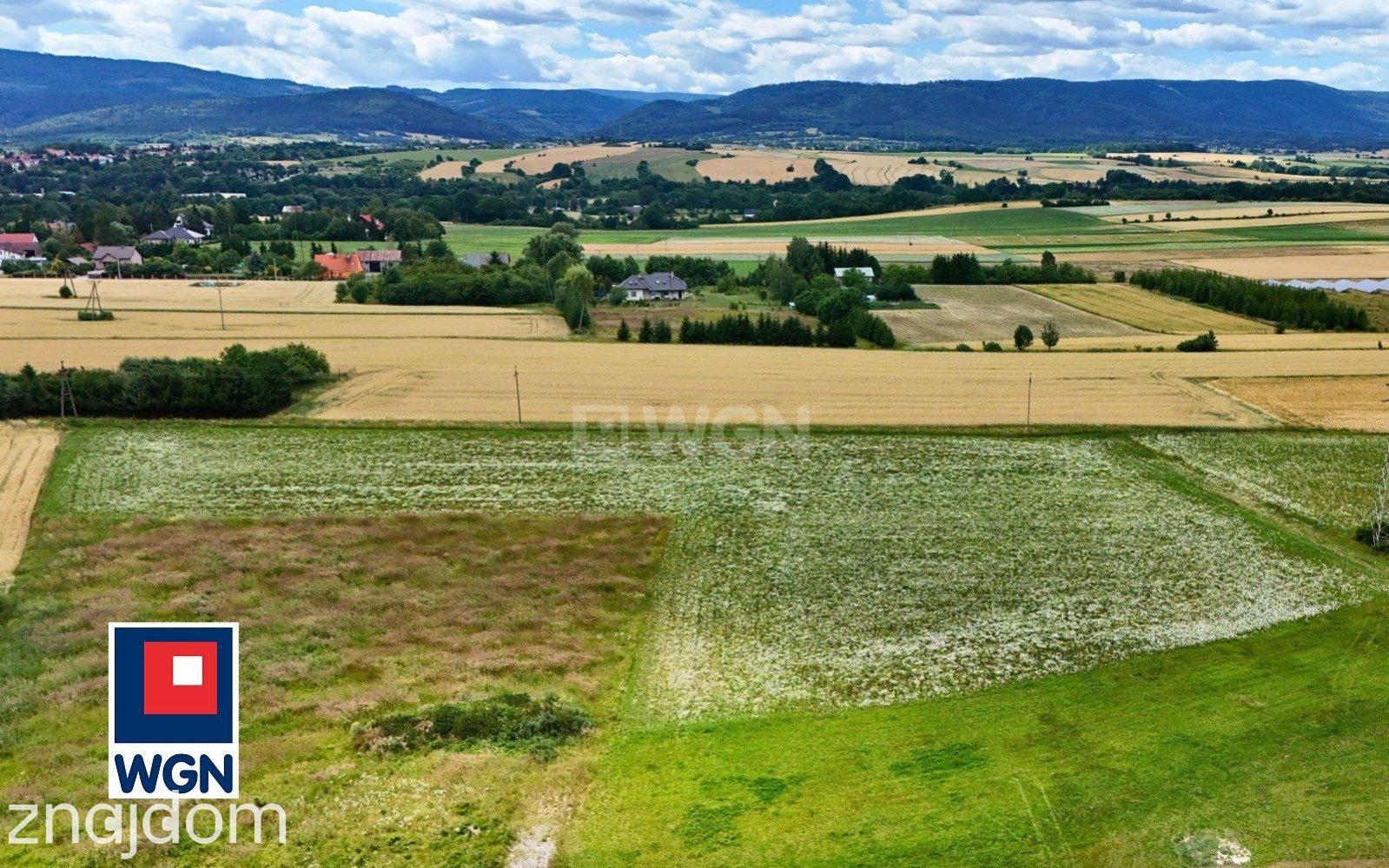 Grunt budowlany jednorodzinny na sprzedaż Stary Waliszów - Działka z panoramicznym widokiem. - zdjęcie 17