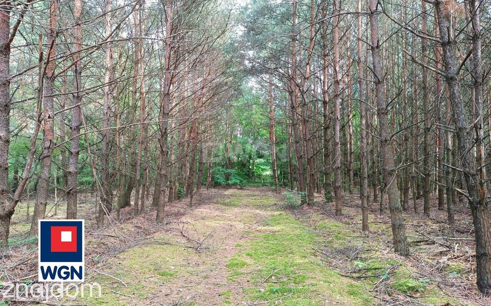 Dom na  sprzedaż Grabieniec - Dom z basenem i lasem na Grabieńcu