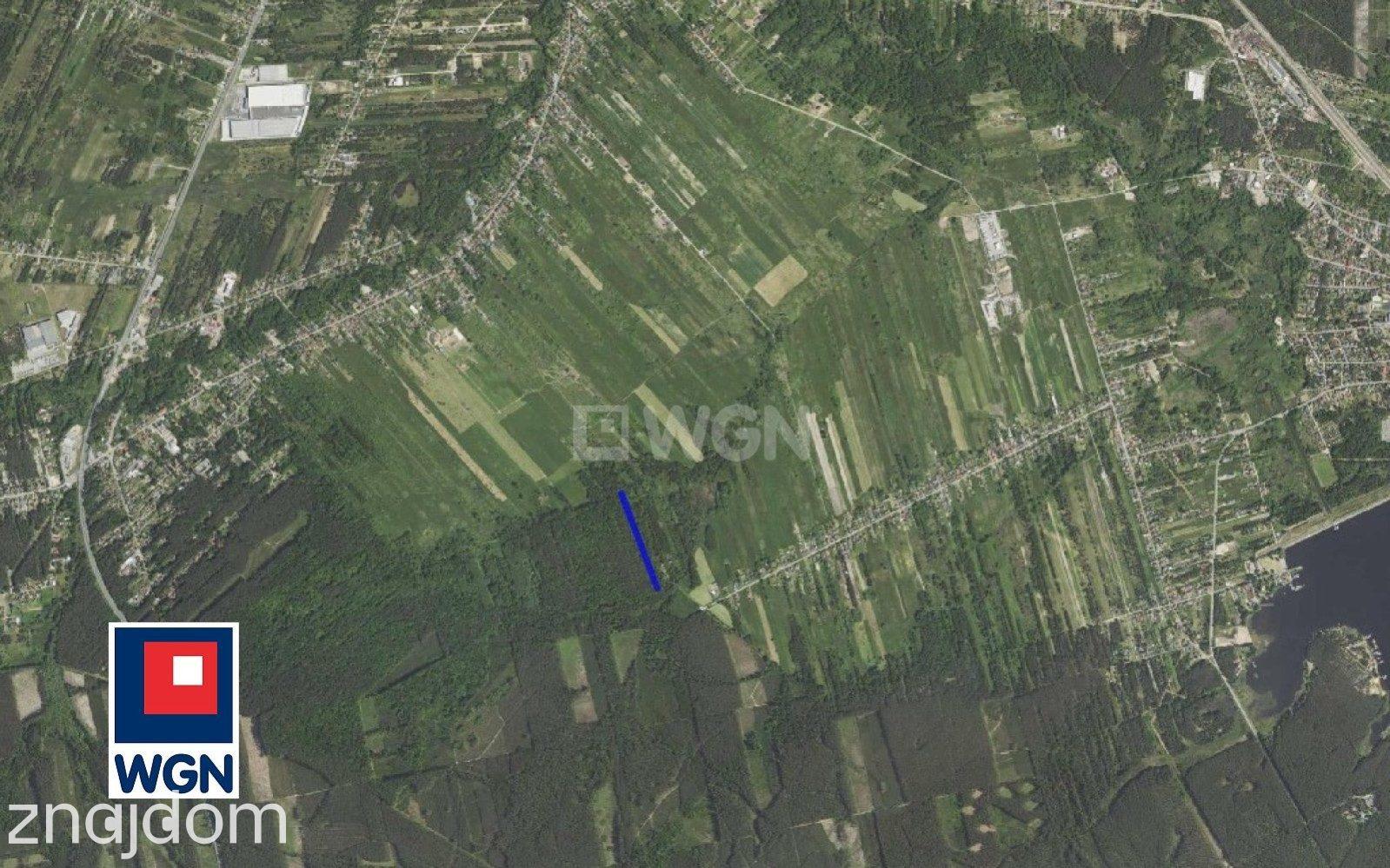 Grunt leśny na sprzedaż Kamienica Polska - Las na sprzedaż w dobrej cenie! - zdjęcie 7