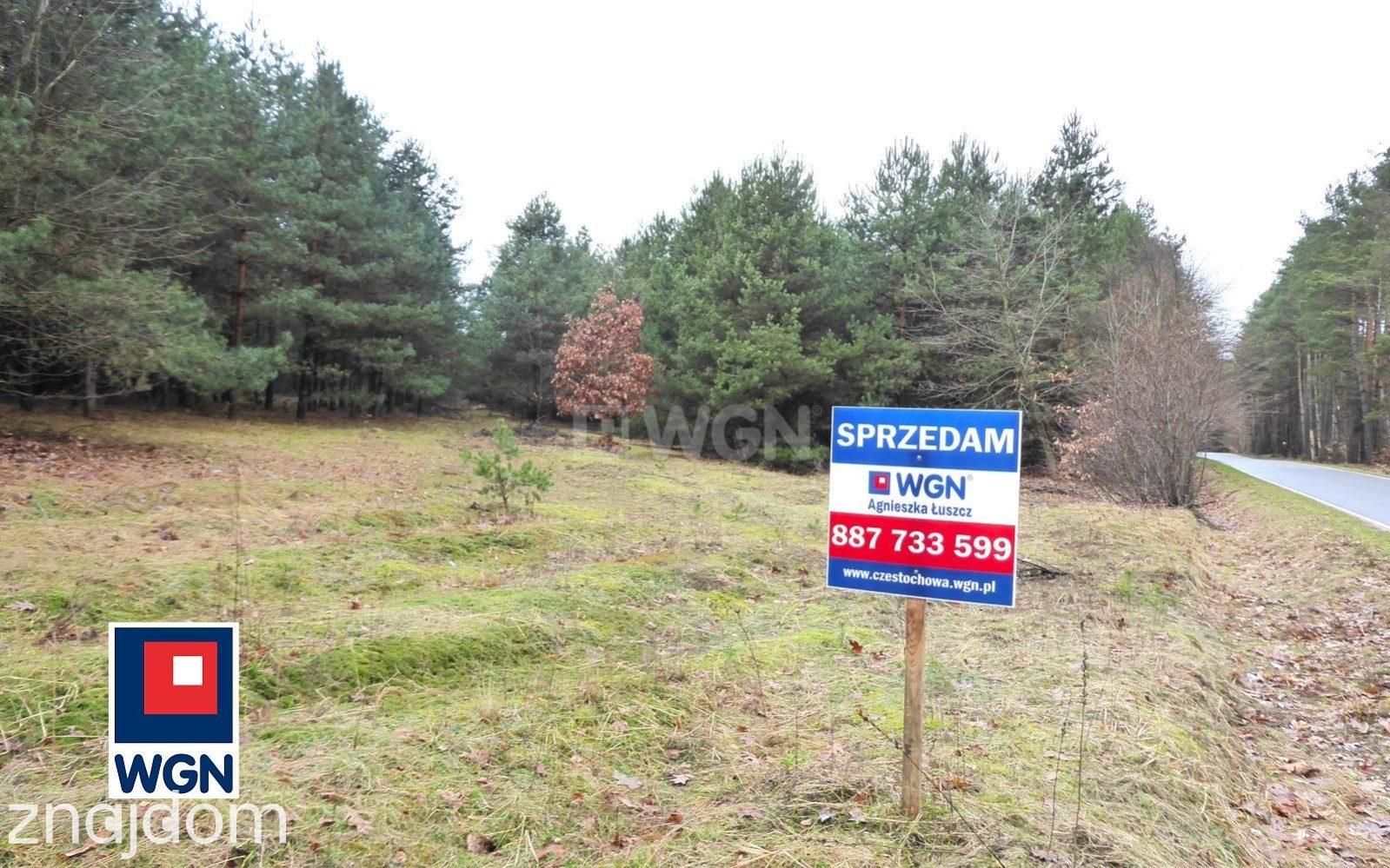 Grunt budowlany jednorodzinny na sprzedaż Skrajnica - Atrakcyjna działka budowlano-rolna - zdjęcie 6