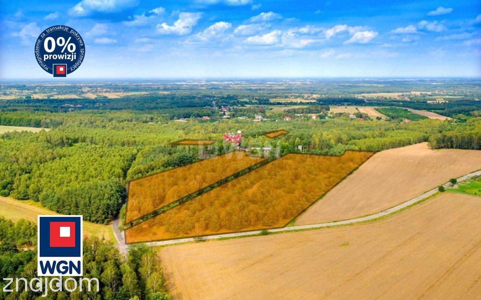 Grunt aktywizacja gospodarcza na  sprzedaż Dąbrowa - Atrakcyjne grunty usługowe i turystyczne - zdjęcie 5