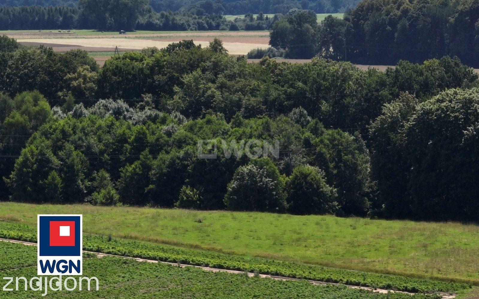 Grunt siedliskowy na sprzedaż Krępa Kaszubska - Sprzedam Malowniczą Działkę 0,61 ha w Krępie Kaszubskiej k. Lęborka - zdjęcie 7