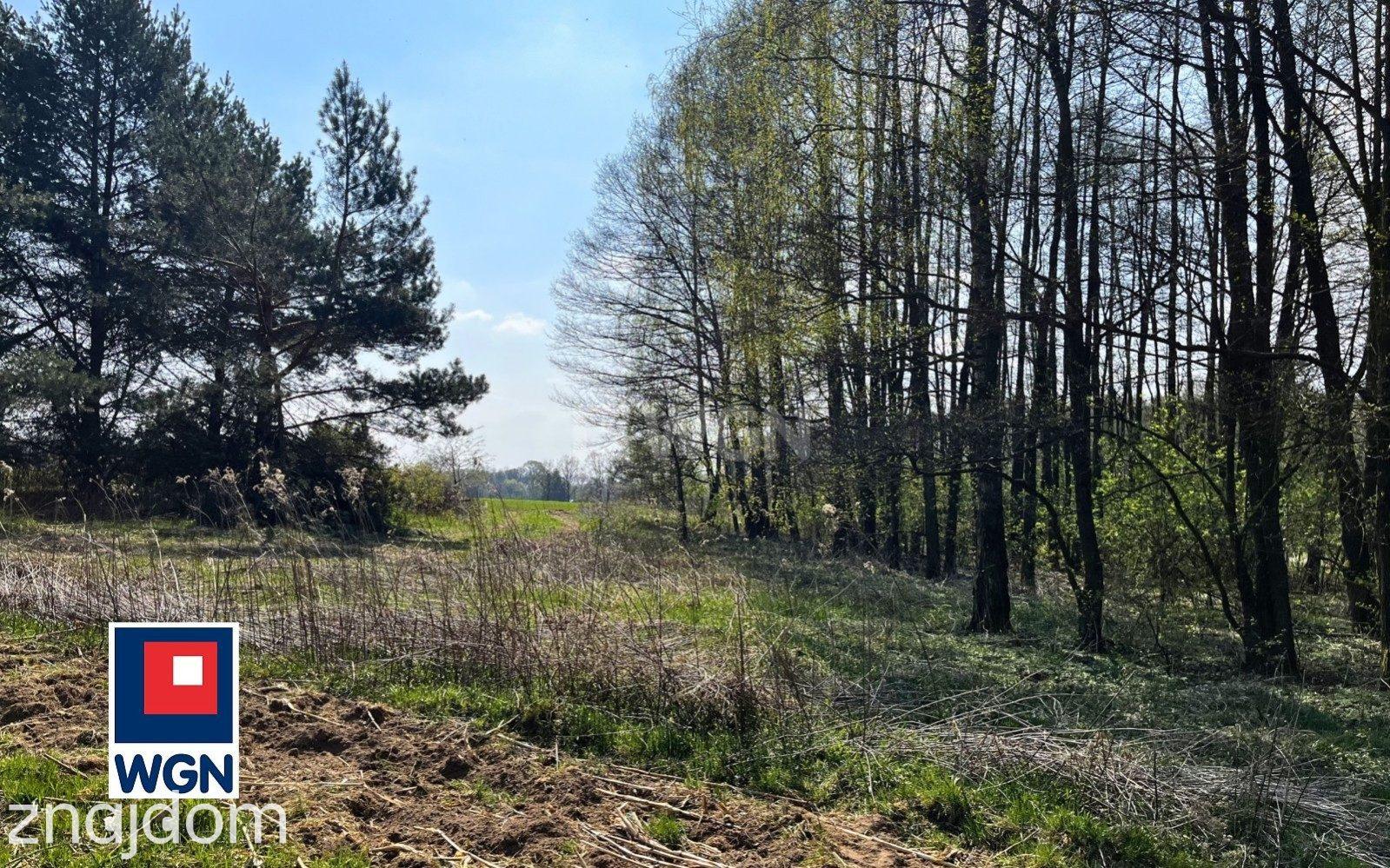 Grunt rolny na sprzedaż Mienice - Działka rolna blisko lasu. - zdjęcie 17