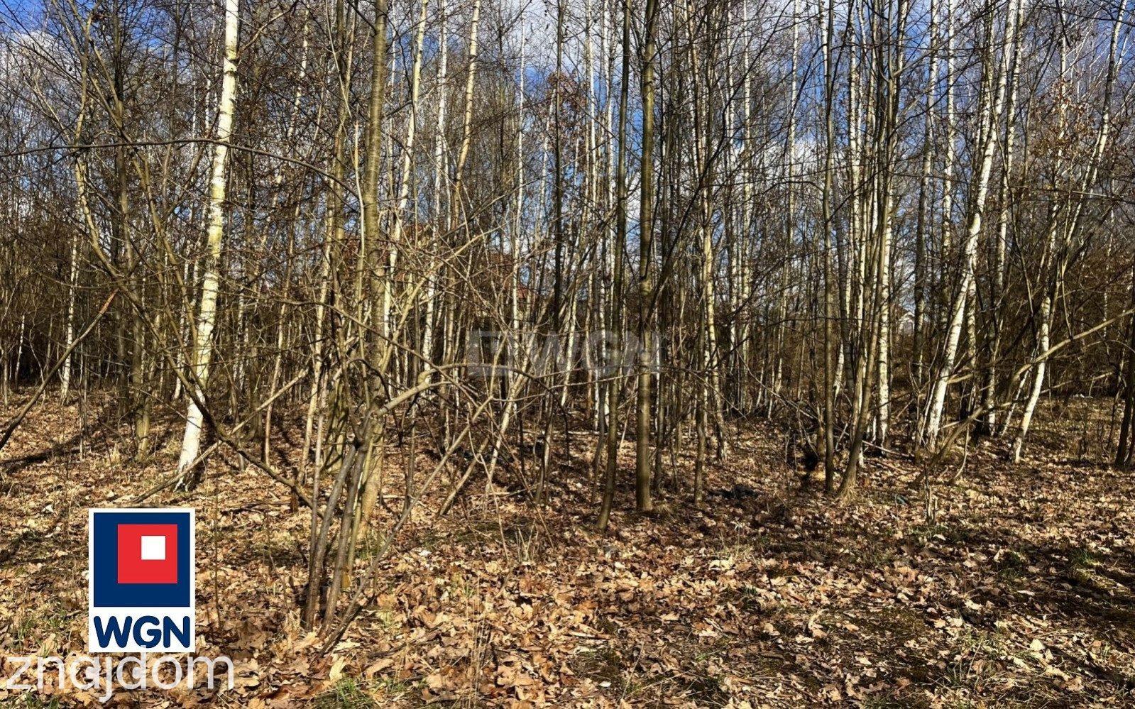 Grunt budowlany jednorodzinny na sprzedaż Kłodzko - Działka budowlana w Kłodzku - Owcza Góra. - zdjęcie 8