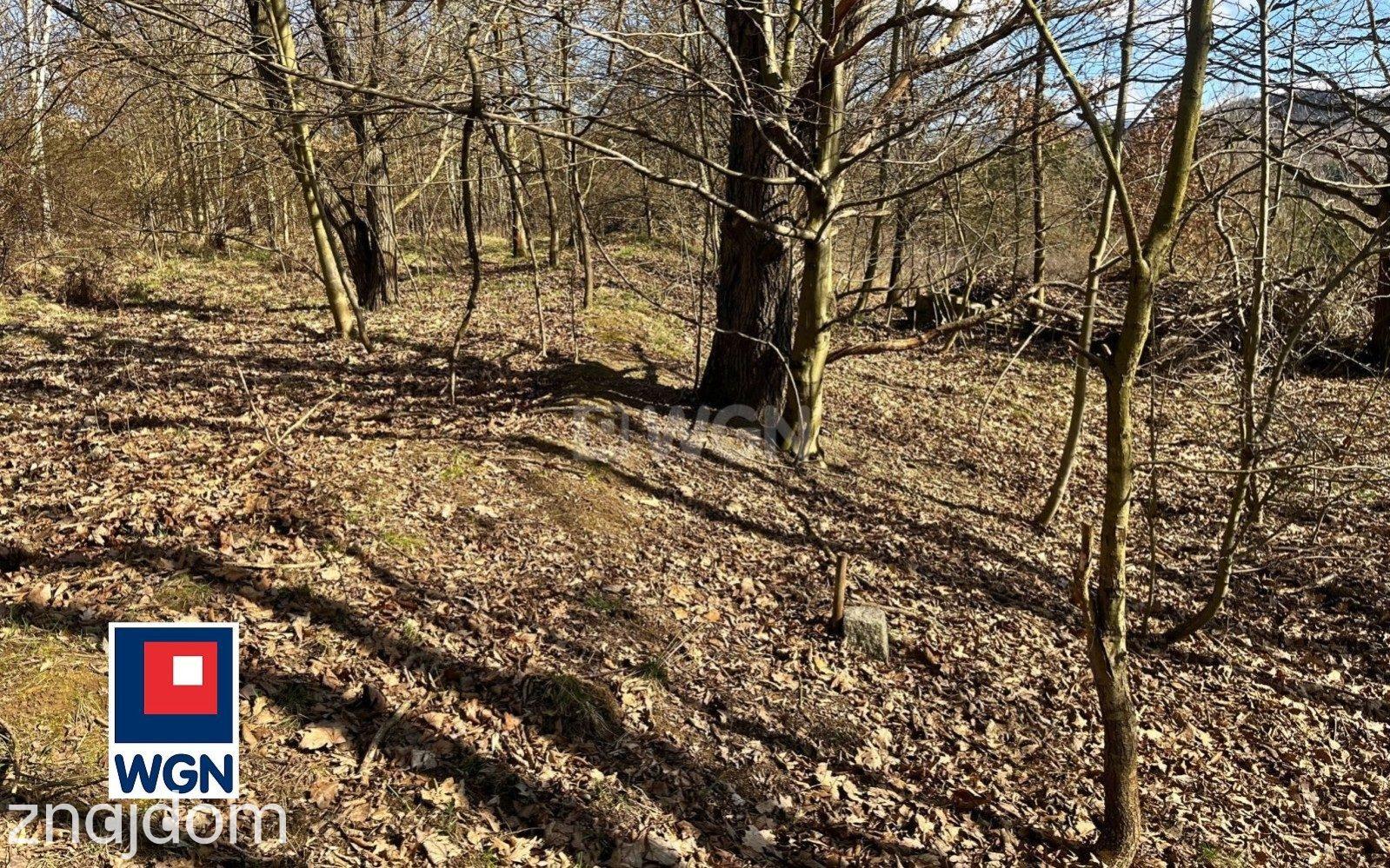 Grunt budowlany jednorodzinny na sprzedaż Kłodzko - Działka budowlana w Kłodzku - Owcza Góra. - zdjęcie 5