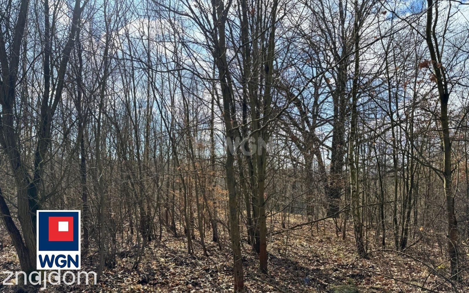 Grunt budowlany jednorodzinny na sprzedaż Kłodzko - Działka budowlana w Kłodzku - Owcza Góra. - zdjęcie 14