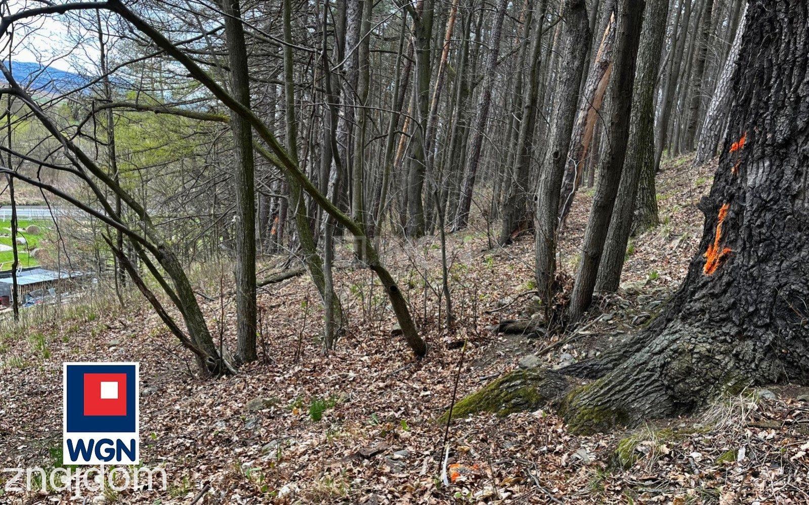 Grunt budowlany jednorodzinny na  sprzedaż Żelazno - Działka budowlana blisko lasu. - zdjęcie 10
