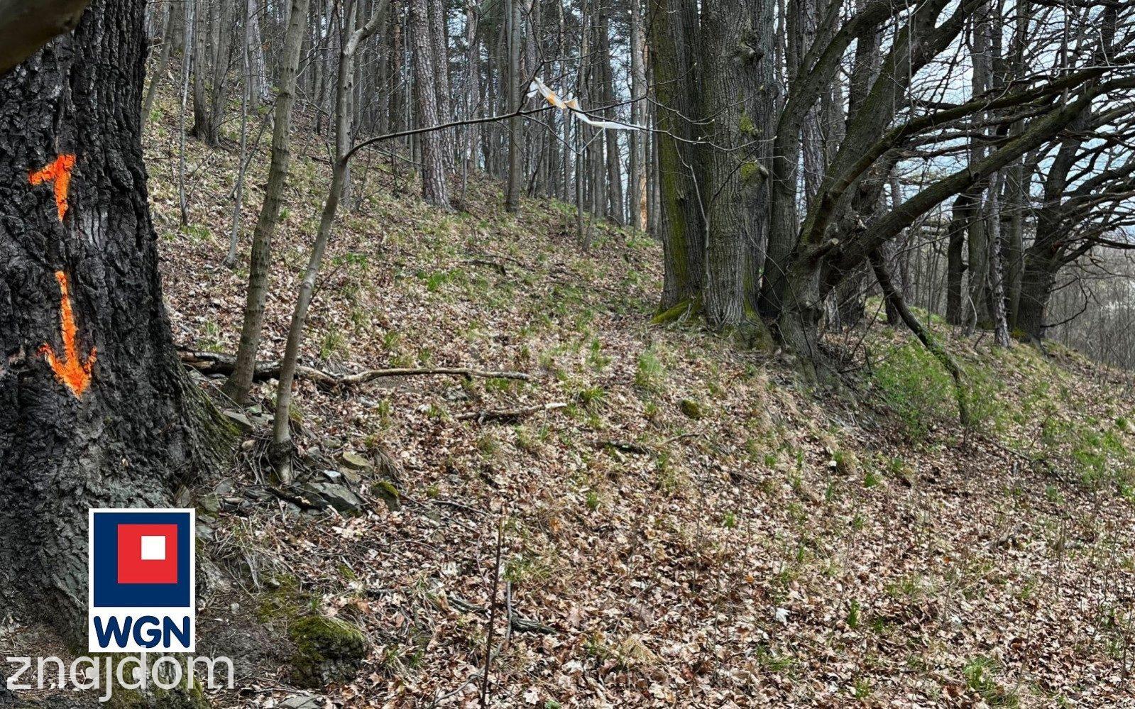Grunt budowlany jednorodzinny na  sprzedaż Żelazno - Działka budowlana blisko lasu. - zdjęcie 5