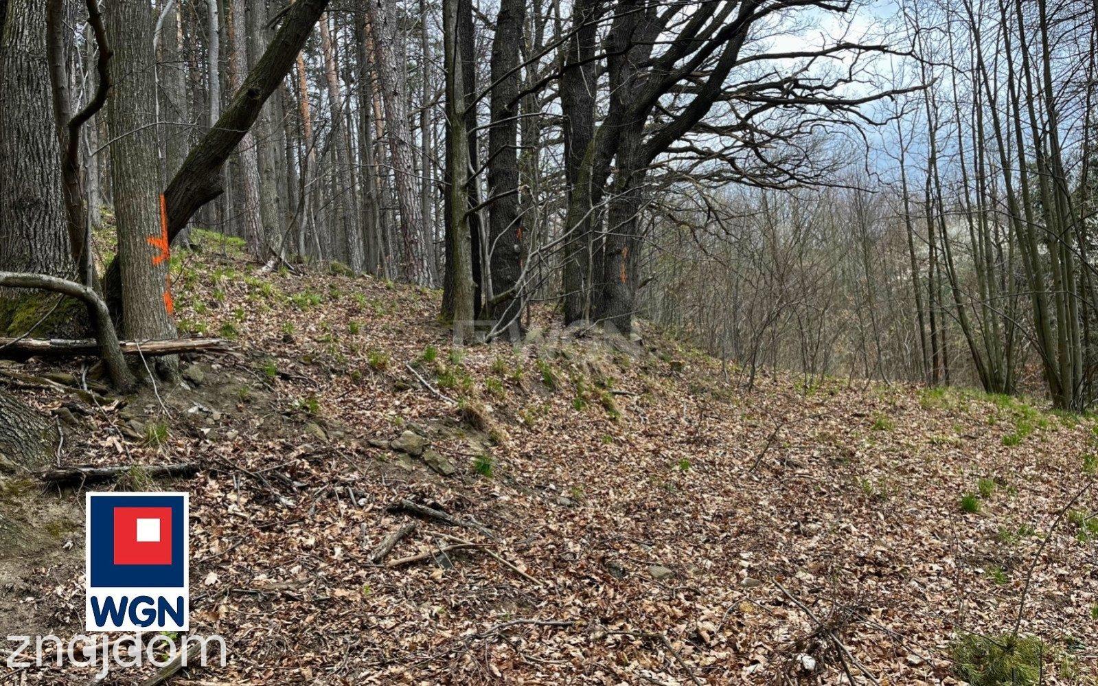 Grunt budowlany jednorodzinny na  sprzedaż Żelazno - Działka budowlana blisko lasu. - zdjęcie 3