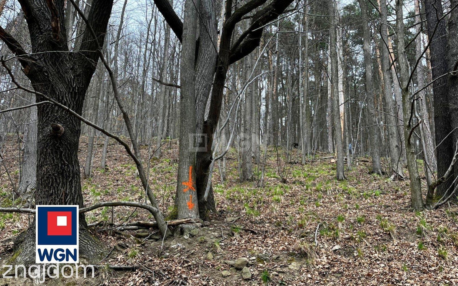 Grunt budowlany jednorodzinny na  sprzedaż Żelazno - Działka budowlana blisko lasu. - zdjęcie 15