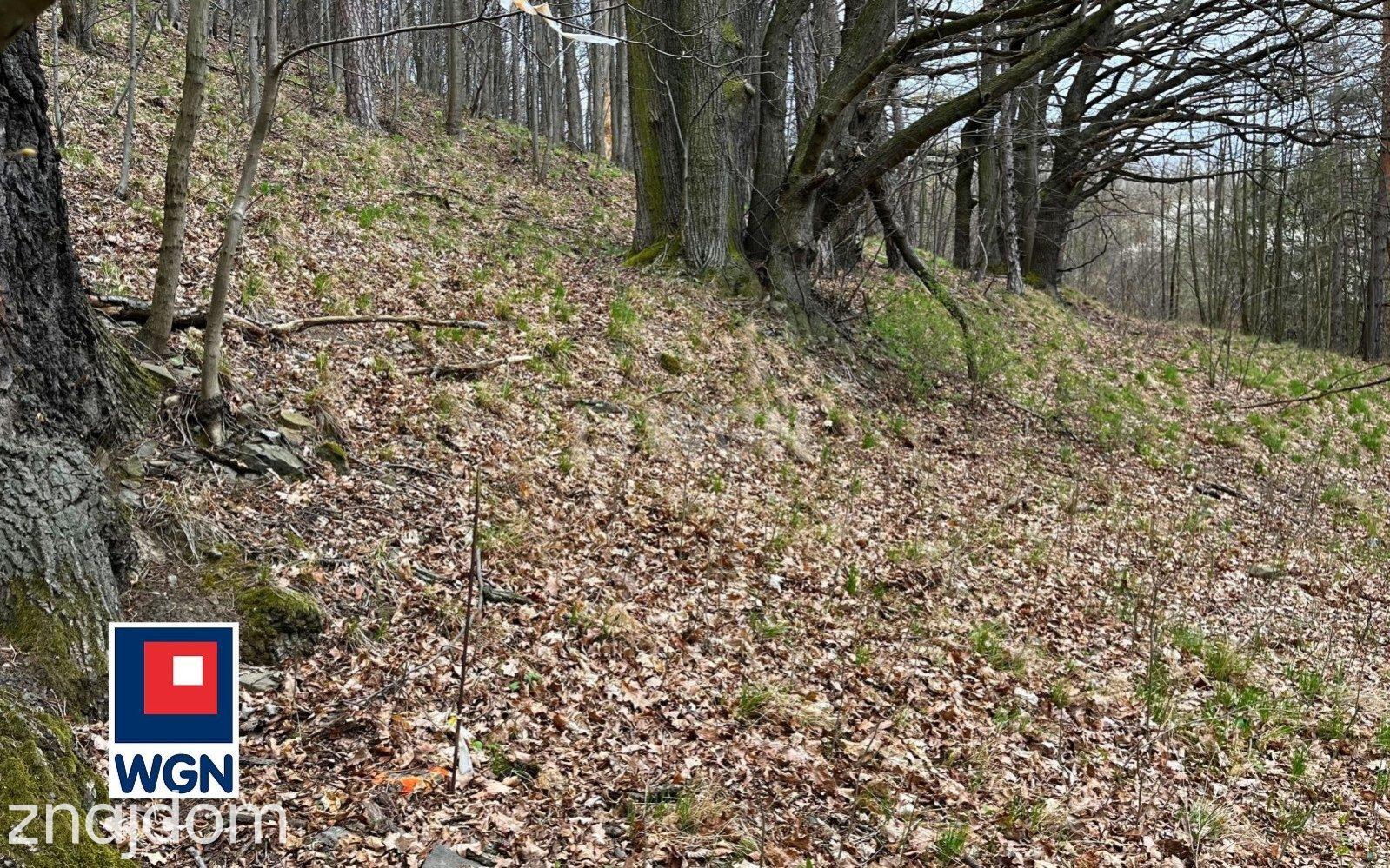 Grunt budowlany jednorodzinny na  sprzedaż Żelazno - Działka budowlana blisko lasu. - zdjęcie 14