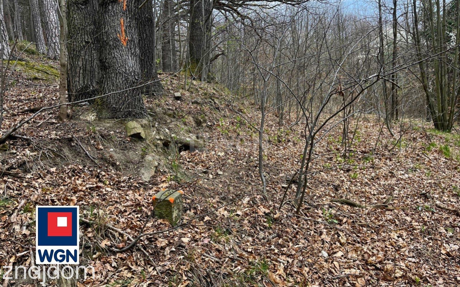 Grunt budowlany jednorodzinny na  sprzedaż Żelazno - Działka budowlana blisko lasu. - zdjęcie 13