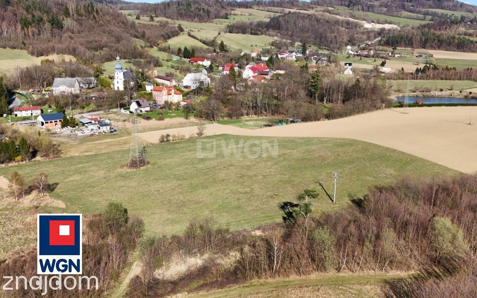 Grunt rolny na sprzedaż Nowy Waliszów - Działka rolna - Nowy Waliszów. - zdjęcie 8