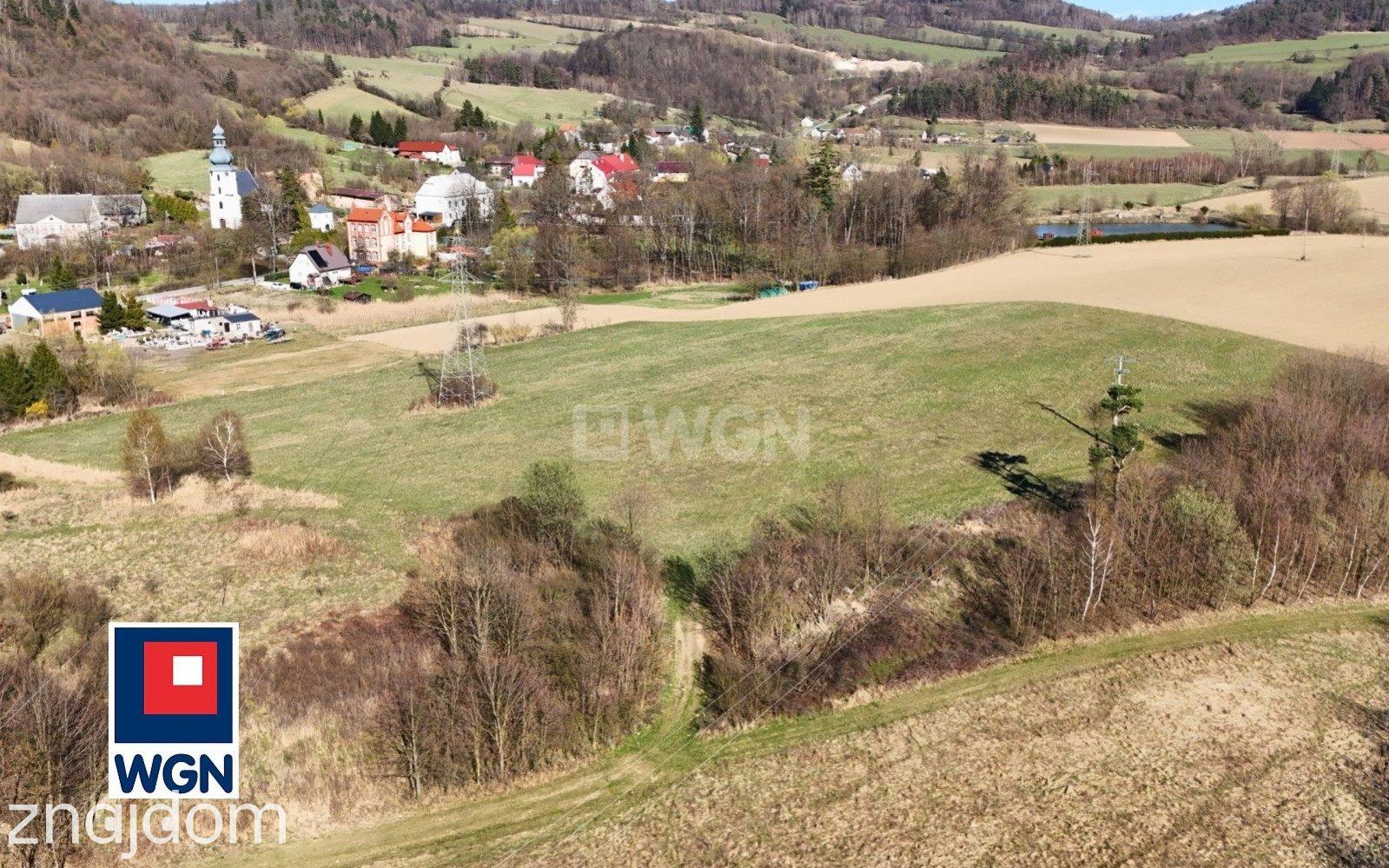 Grunt rolny na sprzedaż Nowy Waliszów - Działka rolna - Nowy Waliszów. - zdjęcie 7