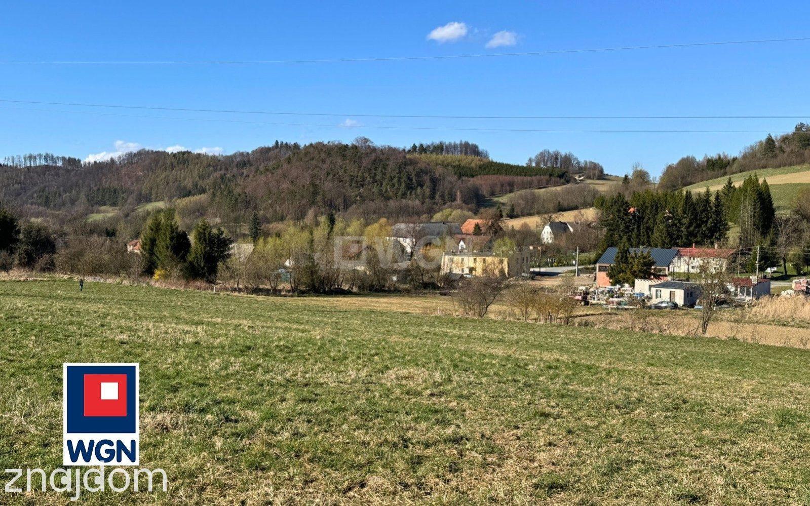 Grunt rolny na sprzedaż Nowy Waliszów - Działka rolna - Nowy Waliszów. - zdjęcie 3