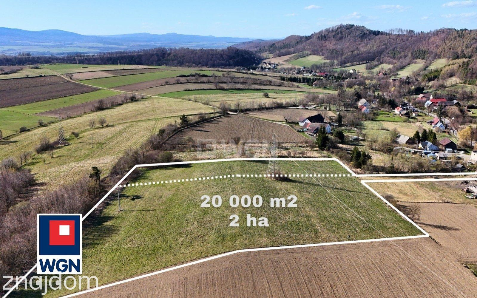 Grunt rolny na sprzedaż Nowy Waliszów - Działka rolna - Nowy Waliszów. - zdjęcie 20