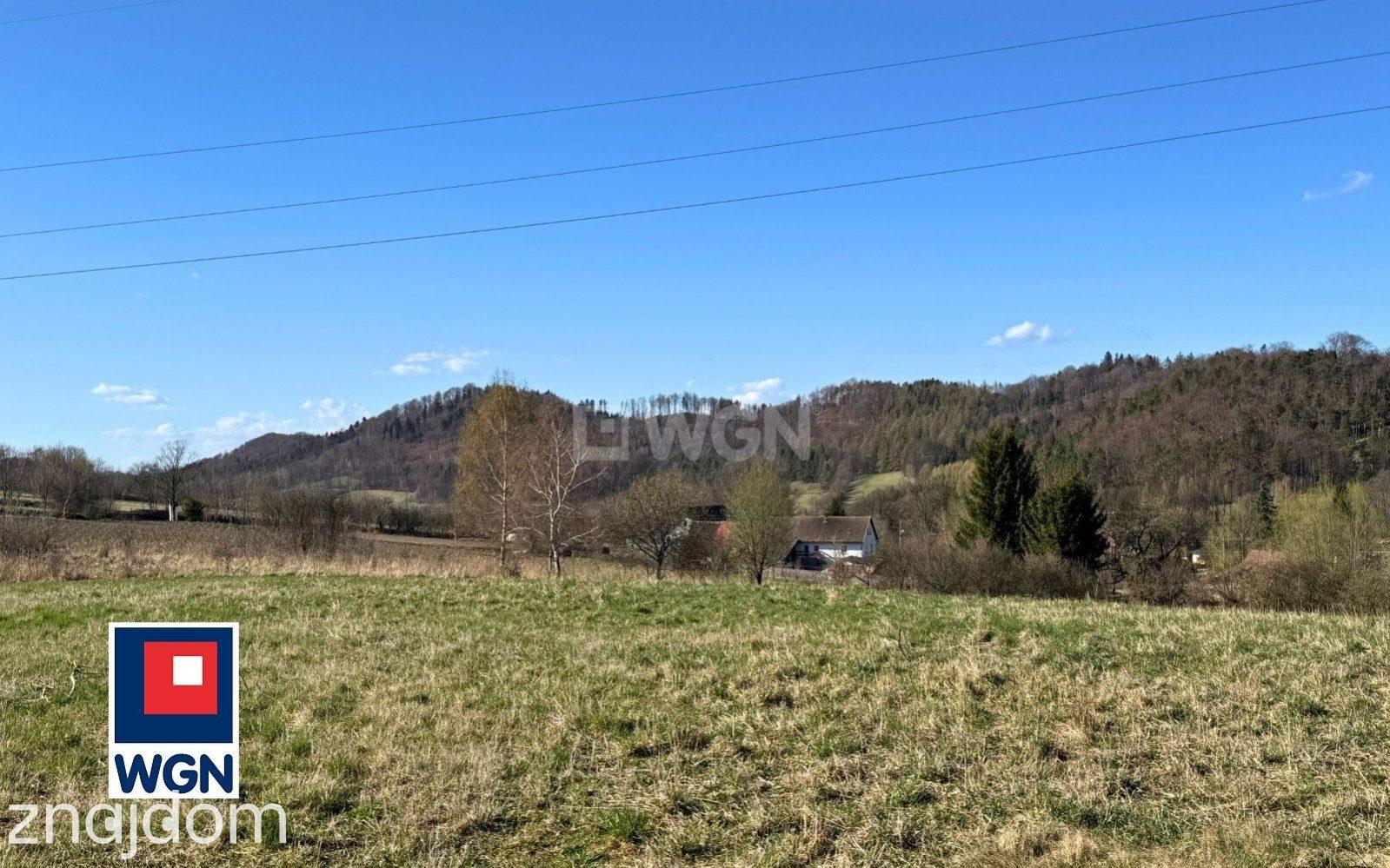 Grunt rolny na sprzedaż Nowy Waliszów - Działka rolna - Nowy Waliszów. - zdjęcie 14