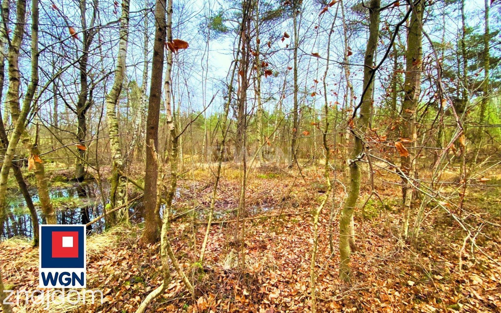 Grunt rekreacyjny/p.o.d. na sprzedaż Jeleńska Huta - Działka o naturalnym charakterze - 4 839 m2, Szemudzka Huta - zdjęcie 8