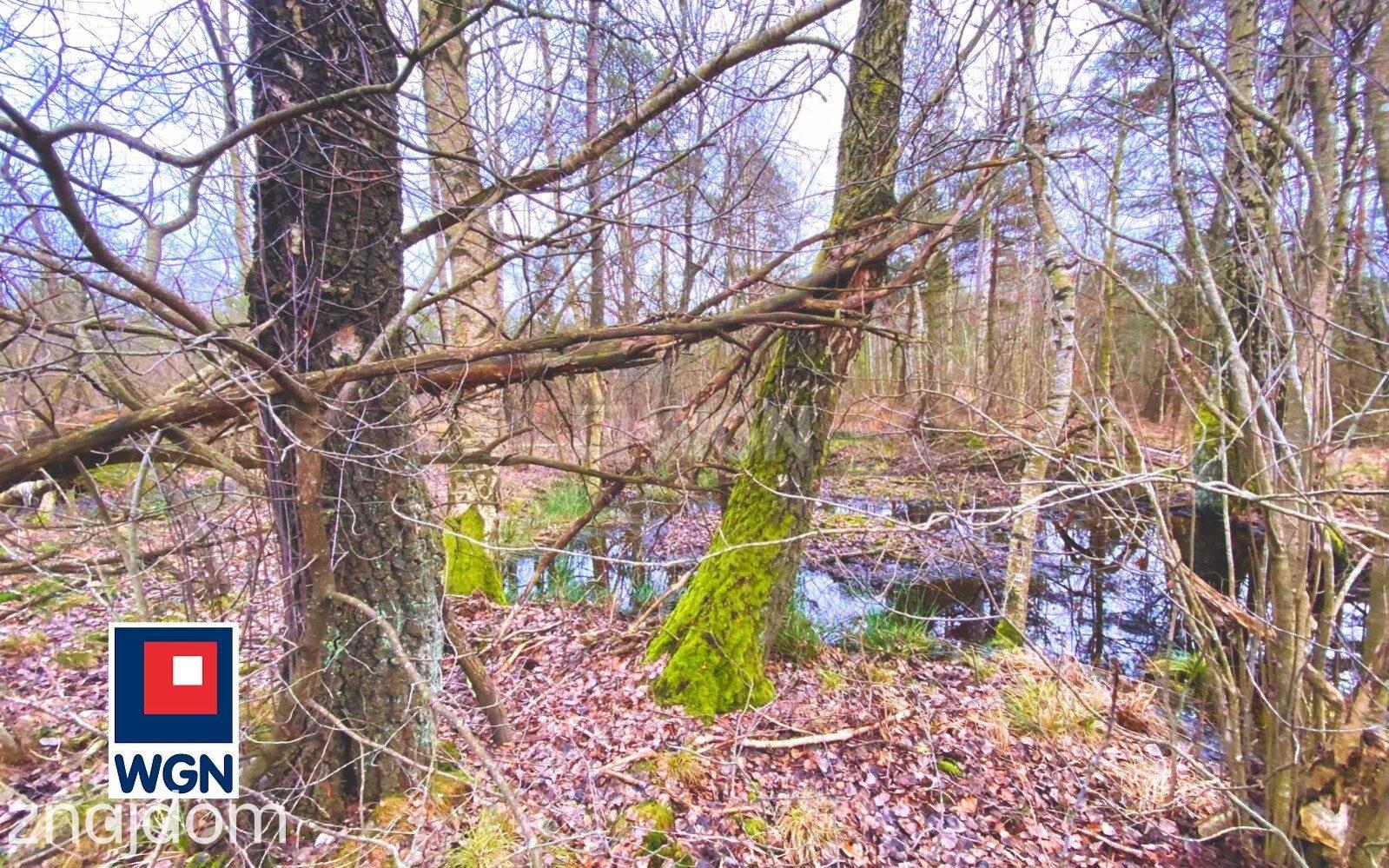 Grunt rekreacyjny/p.o.d. na sprzedaż Jeleńska Huta - Działka o naturalnym charakterze - 4 839 m2, Szemudzka Huta - zdjęcie 7