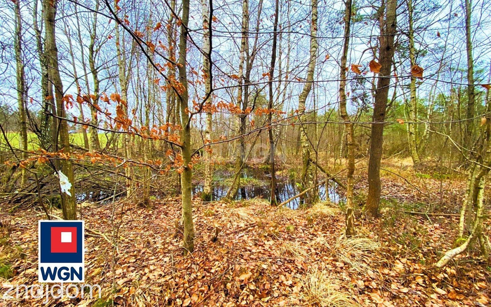 Grunt rekreacyjny/p.o.d. na sprzedaż Jeleńska Huta - Działka o naturalnym charakterze - 4 839 m2, Szemudzka Huta - zdjęcie 6