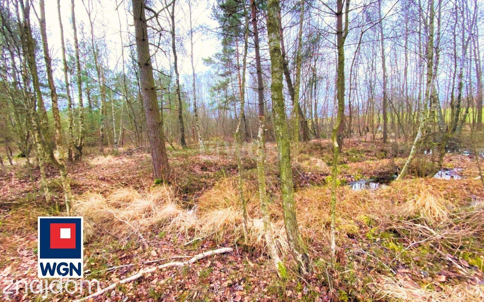 Grunt rekreacyjny/p.o.d. na sprzedaż Jeleńska Huta - Działka o naturalnym charakterze - 4 839 m2, Szemudzka Huta - zdjęcie 5