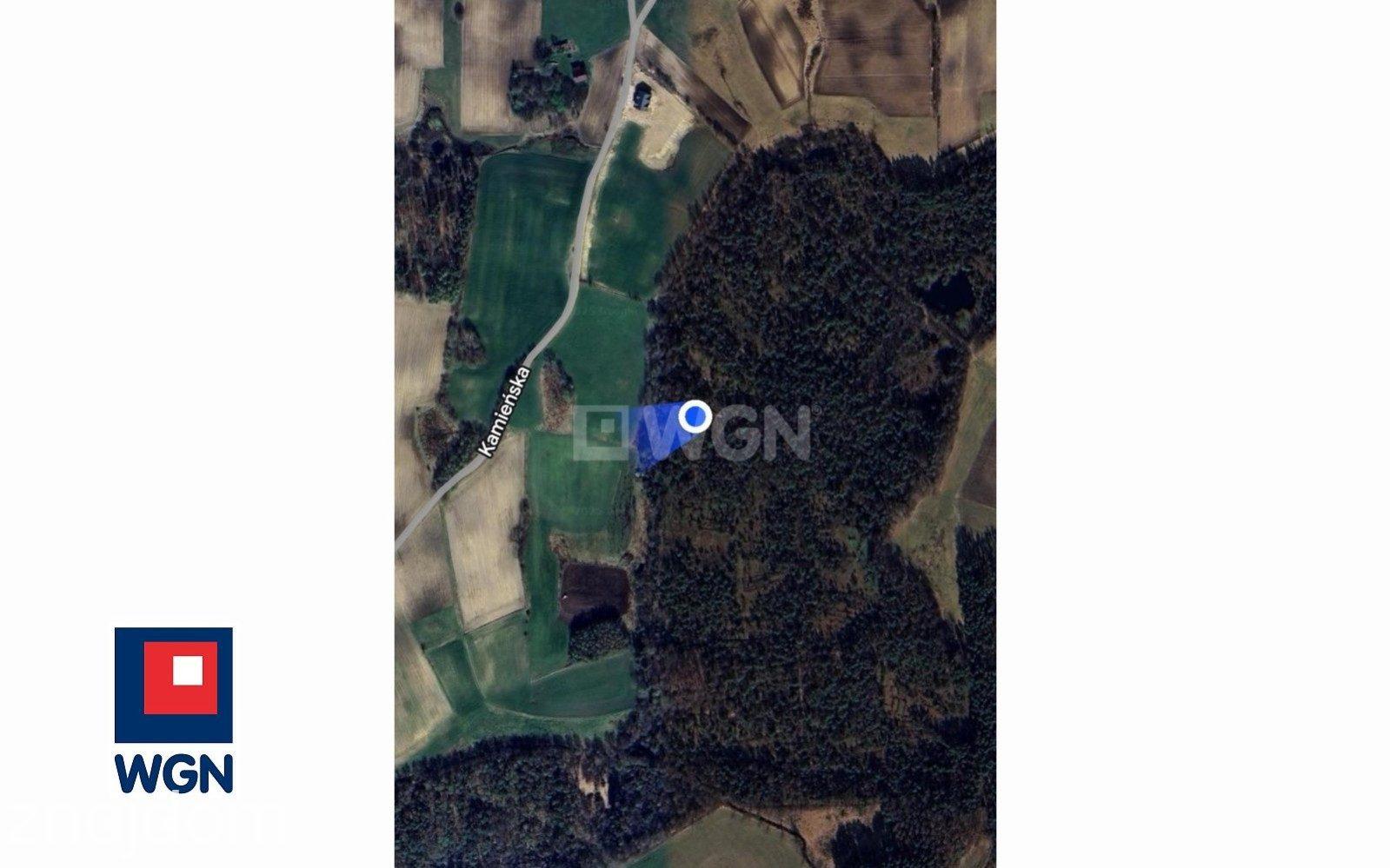Grunt rekreacyjny/p.o.d. na sprzedaż Jeleńska Huta - Działka o naturalnym charakterze - 4 839 m2, Szemudzka Huta - zdjęcie 3