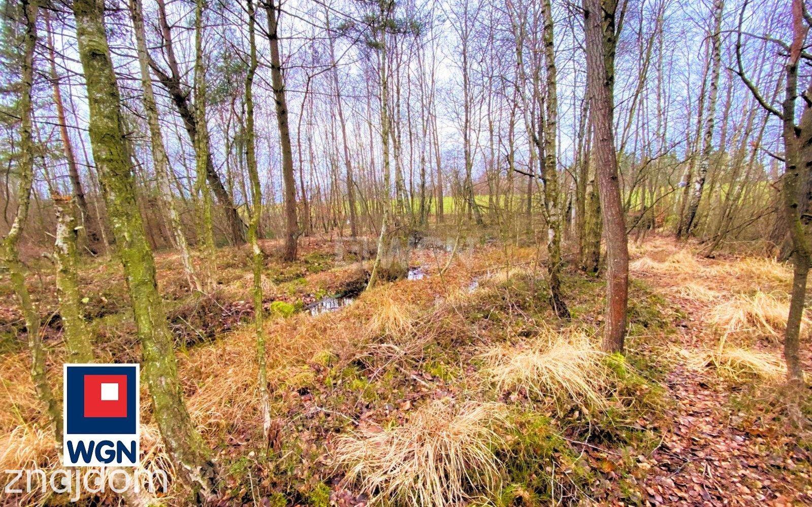 Grunt rekreacyjny/p.o.d. na sprzedaż Jeleńska Huta - Działka o naturalnym charakterze - 4 839 m2, Szemudzka Huta - zdjęcie 2