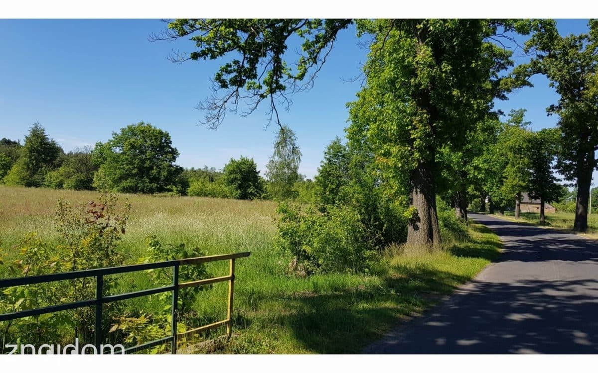 Działka na sprzedaż Lubiechów - zdjęcie 3