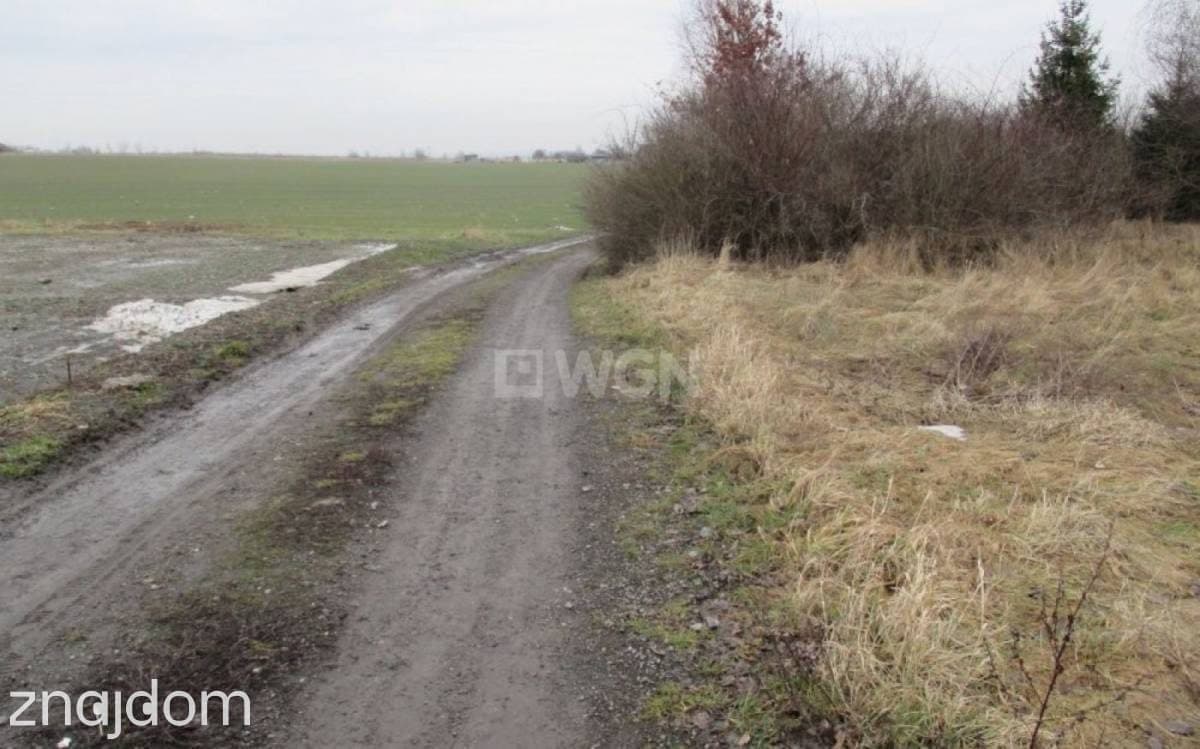 Działka na sprzedaż Mrzygłódka