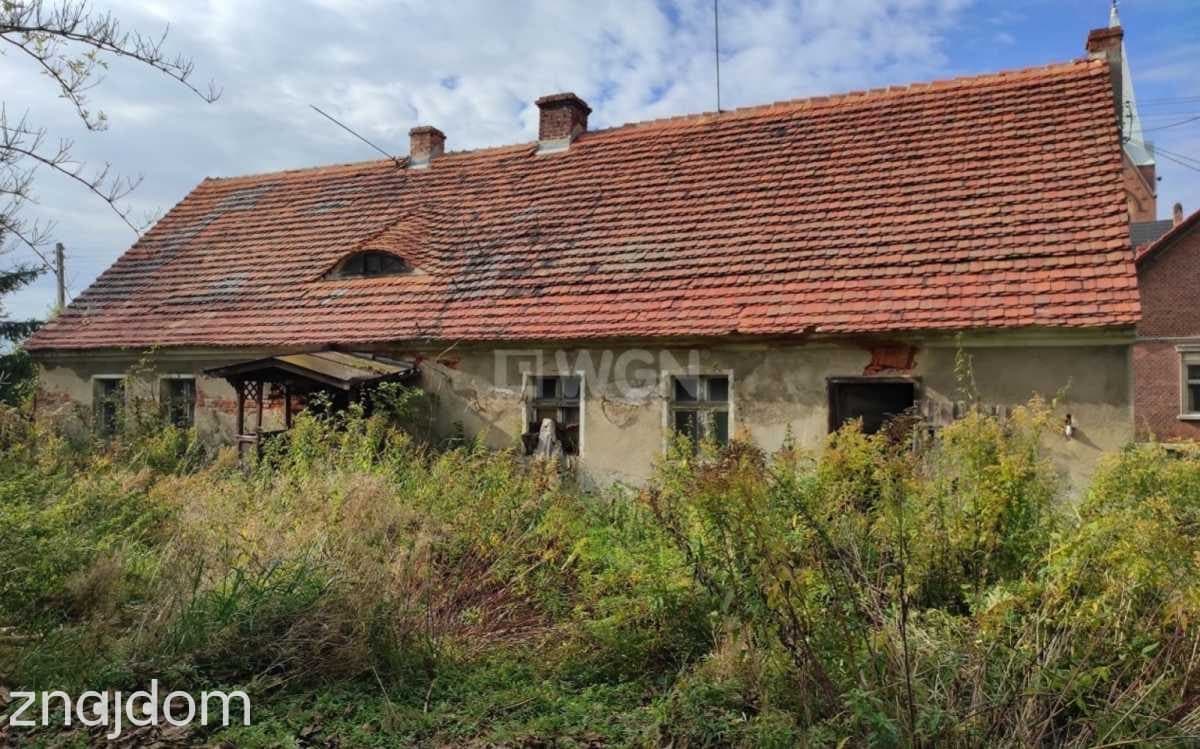Dom na sprzedaż Krzepielów - Krzepielów, dom z działką 71 ar, sprzedam, cena 260 000 zł - zdjęcie 6