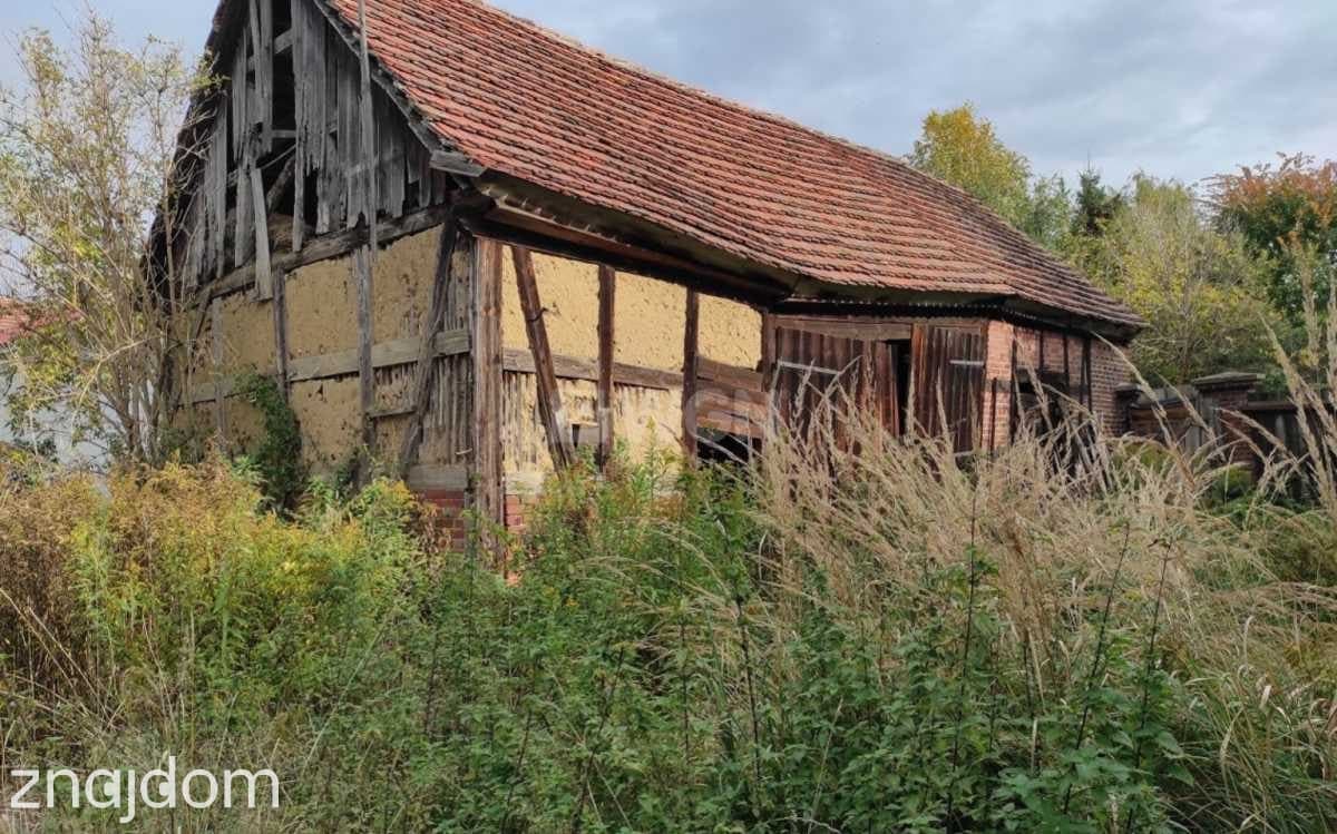 Dom na sprzedaż Krzepielów - Krzepielów, dom z działką 71 ar, sprzedam, cena 260 000 zł - zdjęcie 4