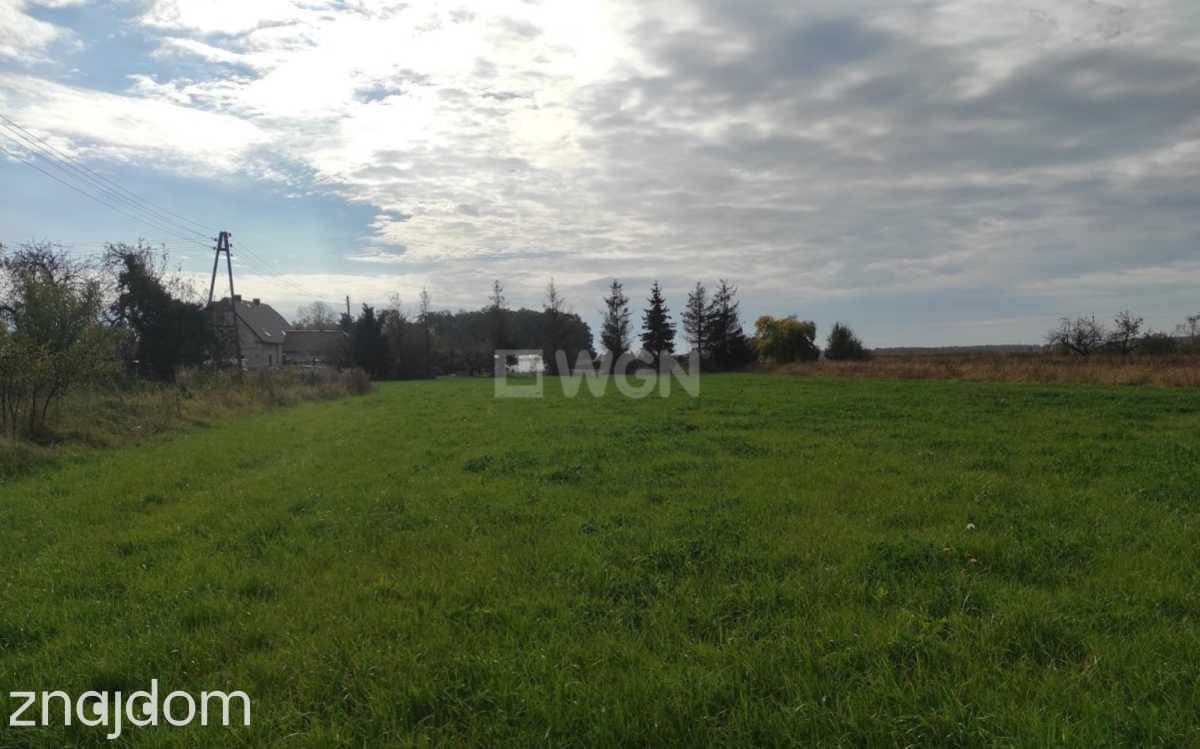 Dom na sprzedaż Krzepielów - Krzepielów, dom z działką 71 ar, sprzedam, cena 260 000 zł