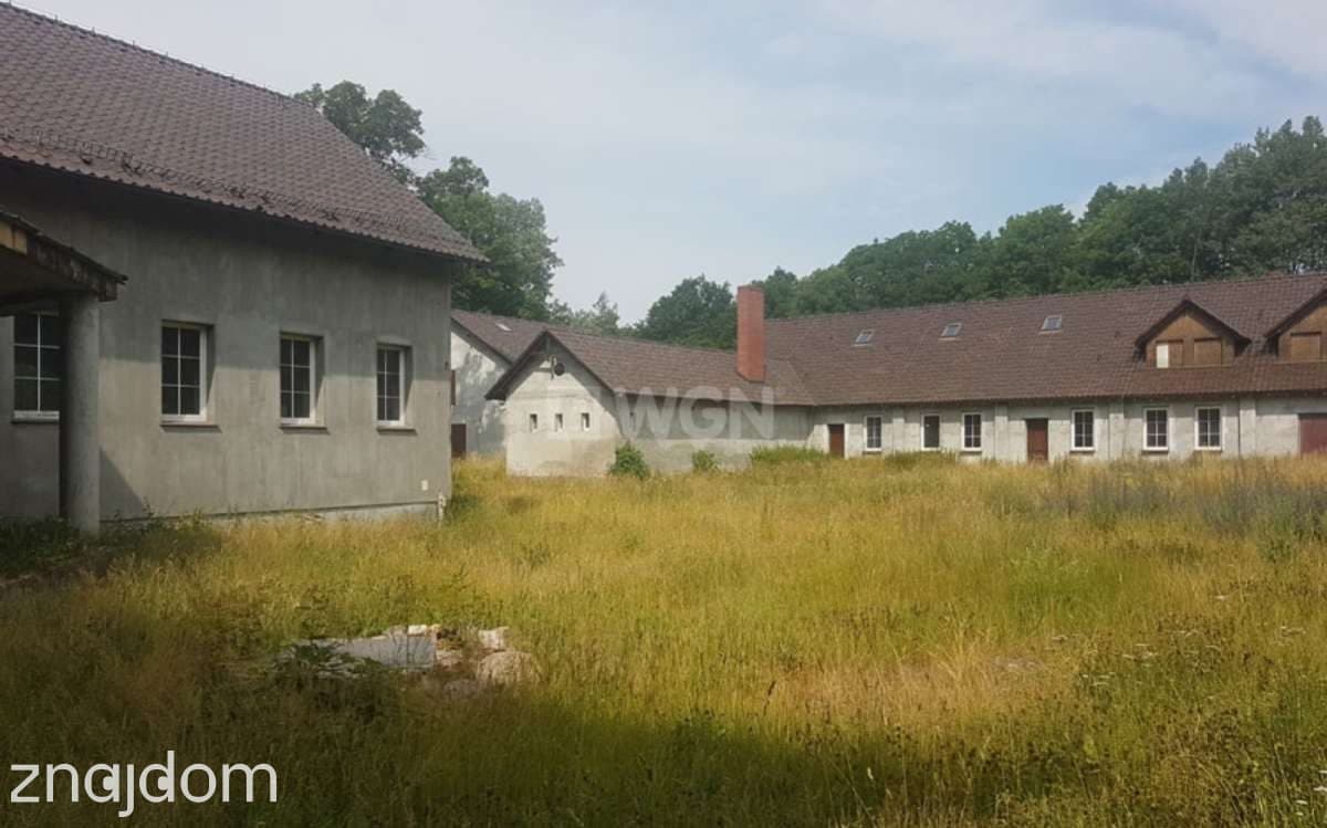 Dom na sprzedaż Ruszów - zdjęcie 12